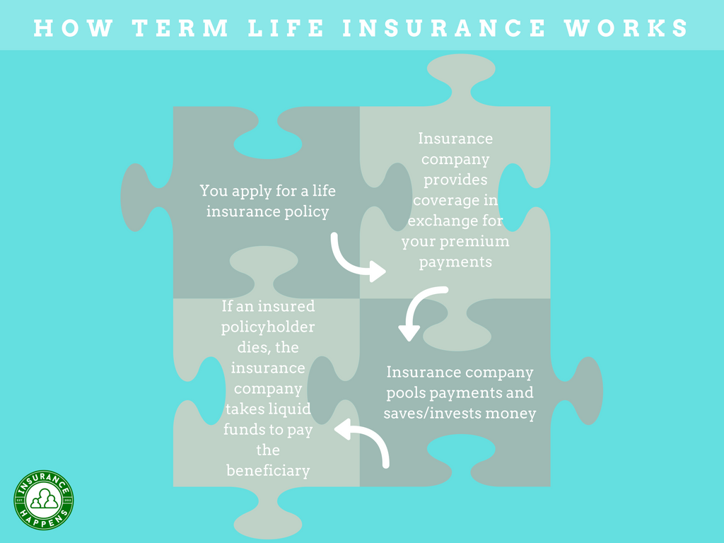 term life insurance