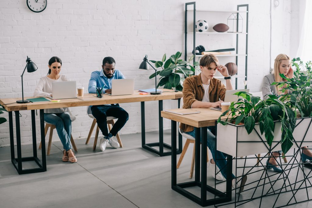 A group of people work in an office in front of their laptops. They work at a business that needs cyber liability insurance.