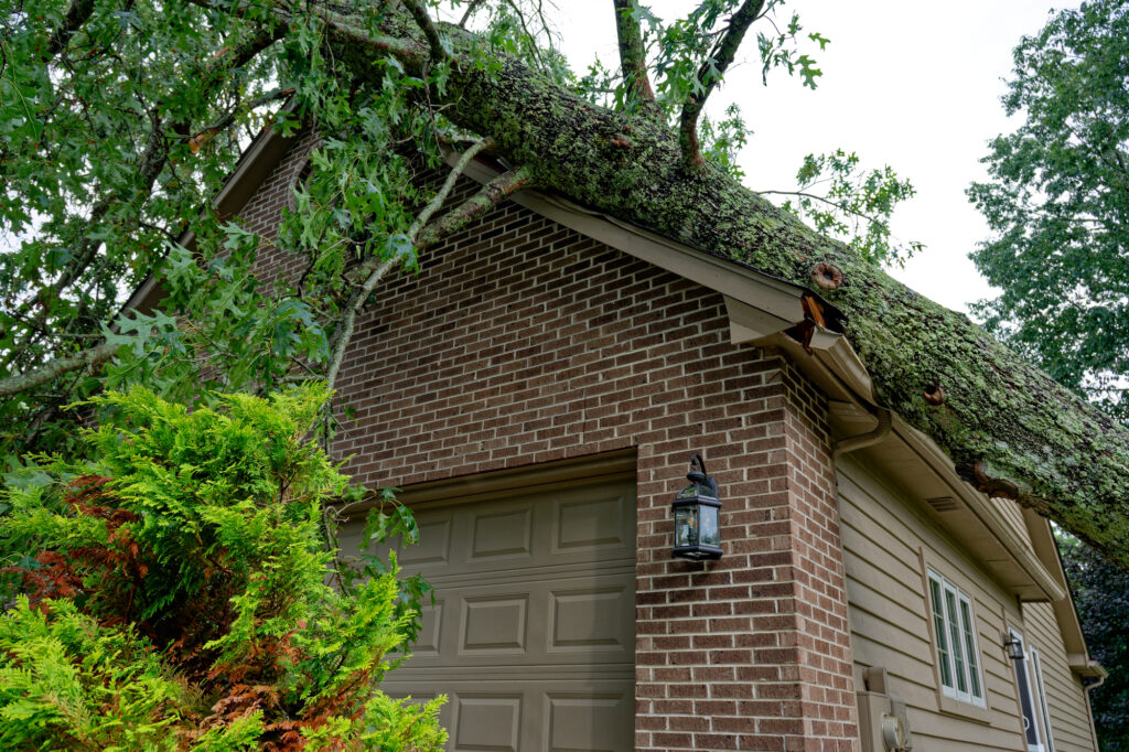 A tree lays against a house after falling from a storm.